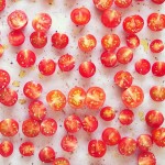 Quite possibly my favorite non-recipe recipe... Super slow roasted cherry tomatoes.