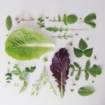 @julieskitchen Teaming up w/my friends at @freepeople to show you some of April's seasonal goodness. Here's a lil peek.