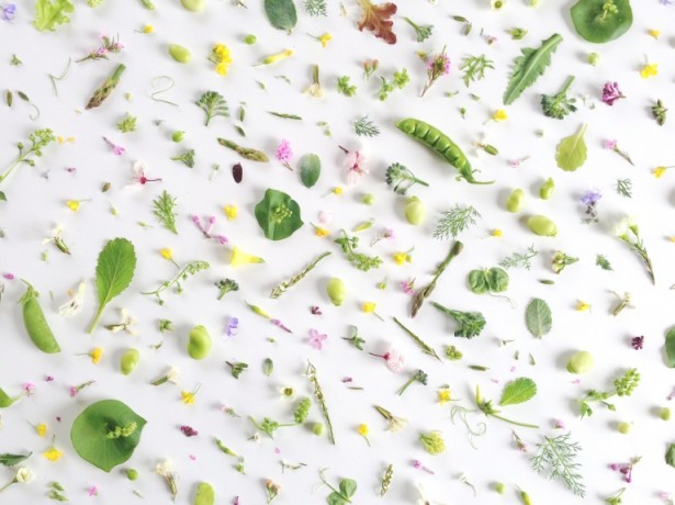 712Food Collage Series: Vegetable Spring Fling