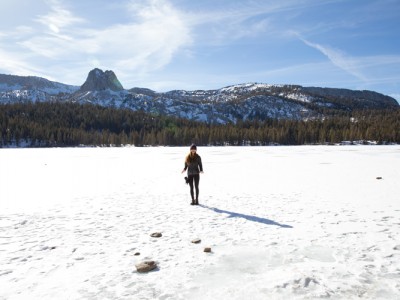 1240Photos from Mammoth + a Reishi and Turmeric Health Elixir to Boost Immunity