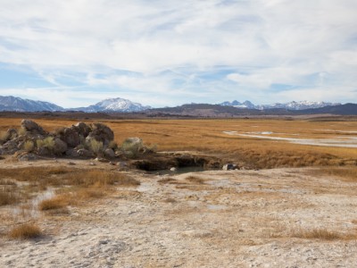 1240Photos from Mammoth + a Reishi and Turmeric Health Elixir to Boost Immunity