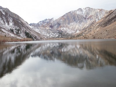 1240Photos from Mammoth + a Reishi and Turmeric Health Elixir to Boost Immunity