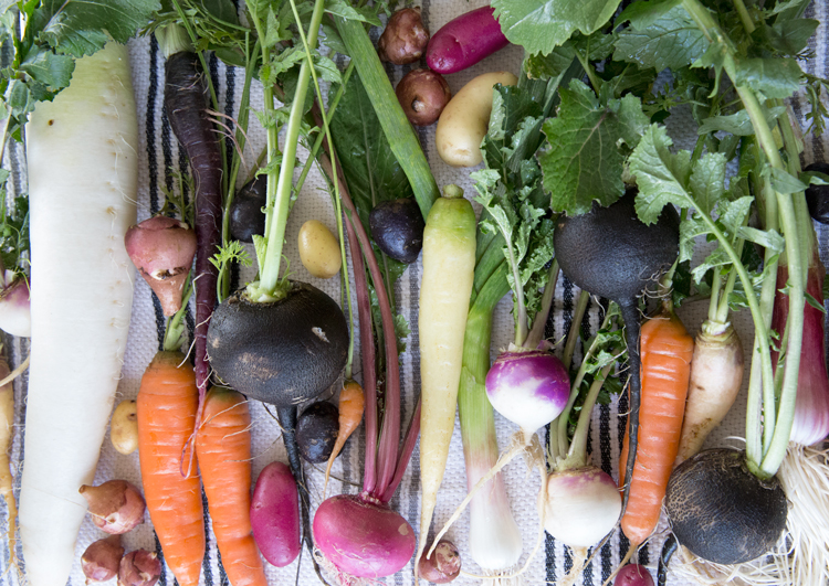 Julie's Kitchen//Root Vegetables