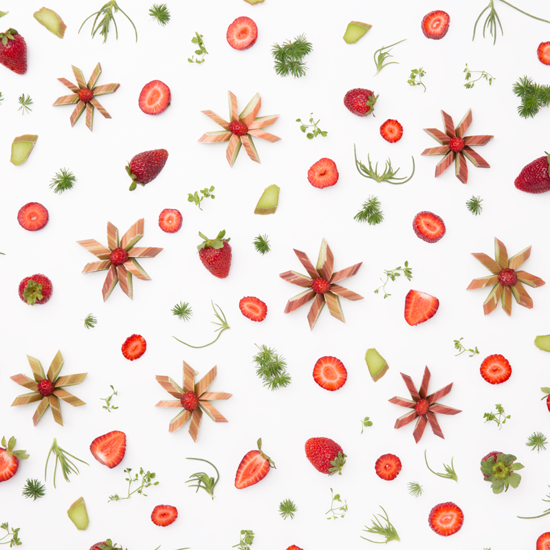 Strawberry and Rhubarb Food Collage @Julieskitchen