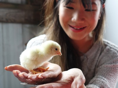 1609Travel Oregon: Boondockers Farm